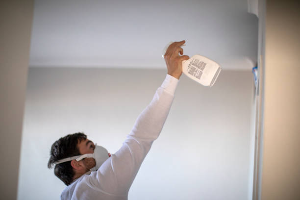 Best Commercial Mold Removal  in Pisgah, AL