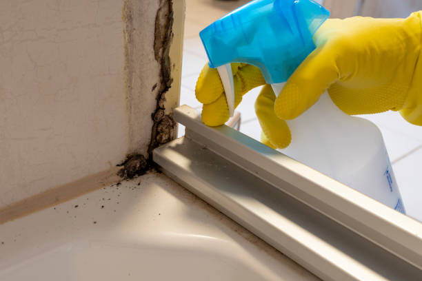 Best Office Mold Removal Services  in Pisgah, AL