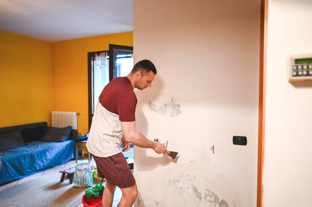 Best Local Mold Removal Service  in Pisgah, AL